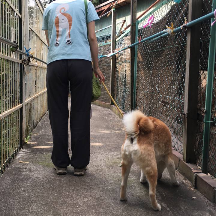 4ca41b2c 6048 4bff 8a8a 2be73980c122 1509232632156