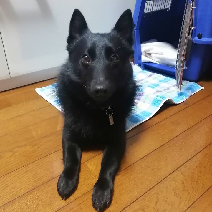 4ca4353c 214f 4645 bc00 e139635f03c3 1615155195676