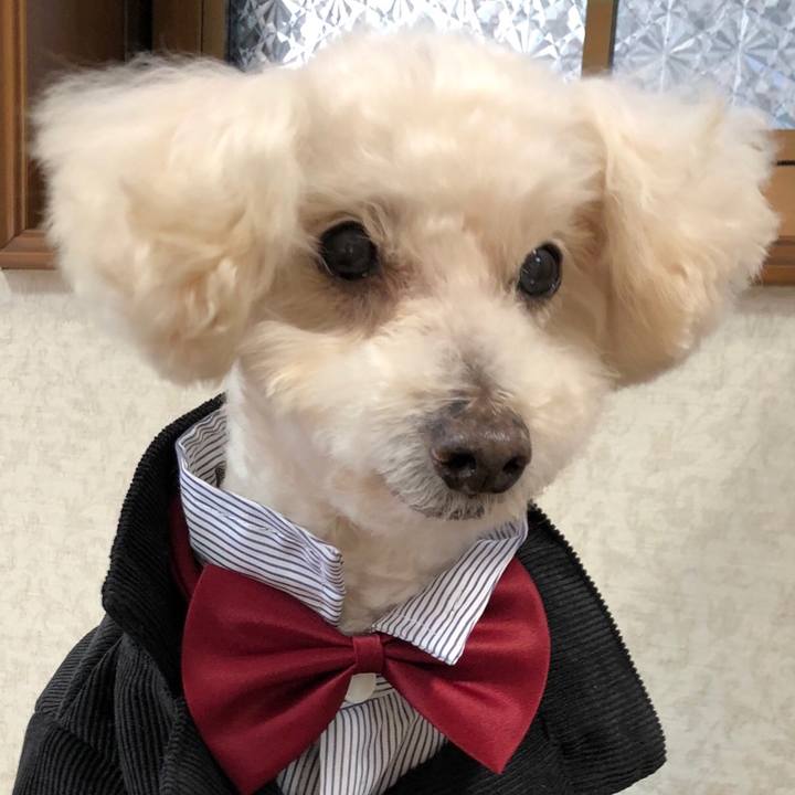 4ca43be0 f8a2 4f03 8f65 ec37a650f228 1552490506086