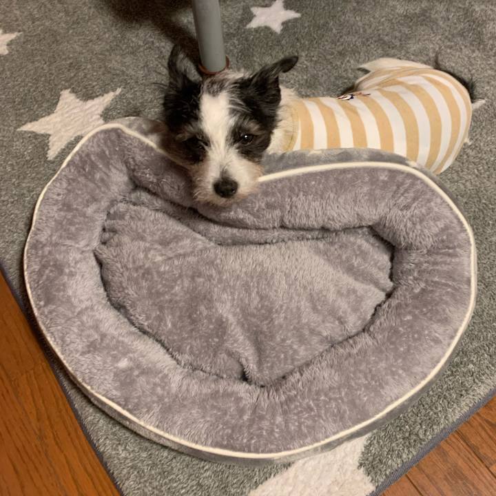 4ca49746 118a 4be1 af2f 9e9fb3dd2236 1606900298306