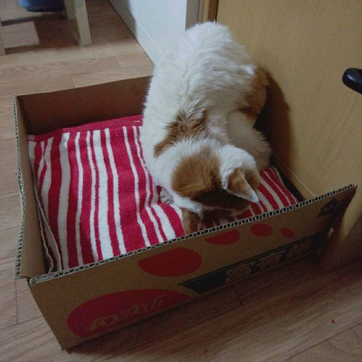 4ca4eca1 9e46 4cfd 8d6b 571de6459a40 1626258152667