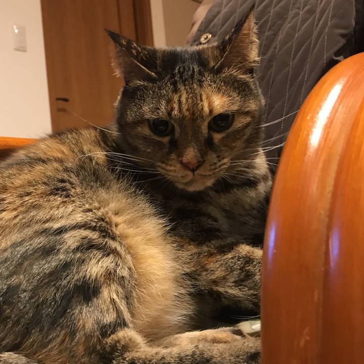 4ca4f5a1 c06e 4b92 bbbd 7a6aba0bc9b2 1548938559627