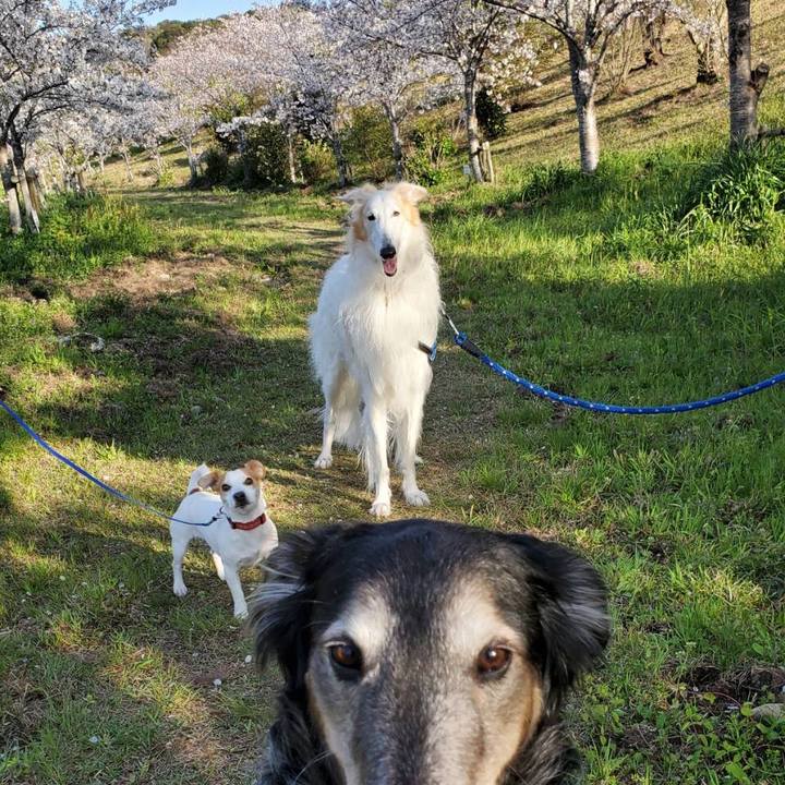 4ca5160f 17d6 4960 98d5 04ad036d56b0 1586218384695