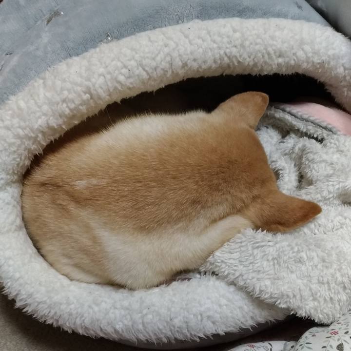 4ca5395c 3a4f 40e7 b558 fed213ce807c 1612012443149