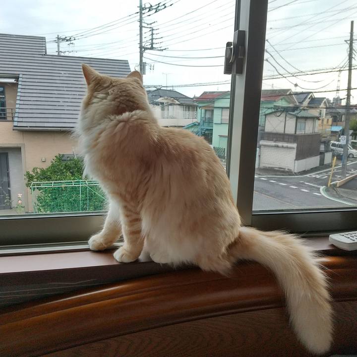 4ca5551a 8a56 4b6a 81fe 68aacb3e1f96 1627689995235