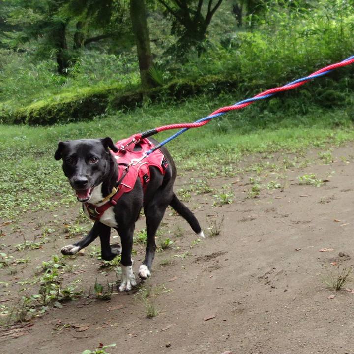 4ca566b6 ce1b 4525 8bf9 c3f94aff37fb 1595115329898