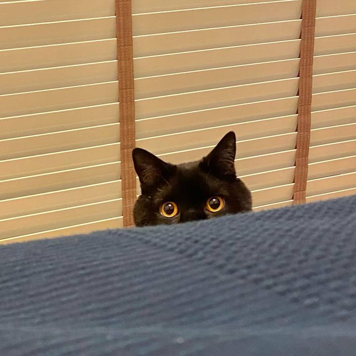 4ca57312 ca86 4944 846c 54437ea1c2c8 1618479779399