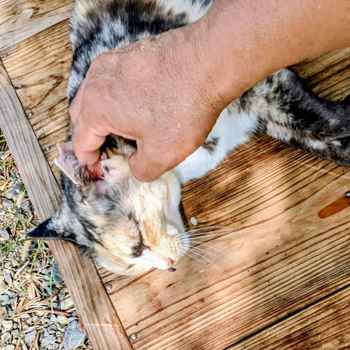 4ca58dc3 c0c6 414b 8161 9f81c4581507 1758074282001