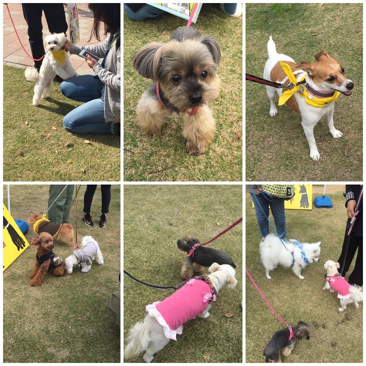 4ca5914b 4ba9 4647 b6f2 8ecdf287b7af 1542453816856