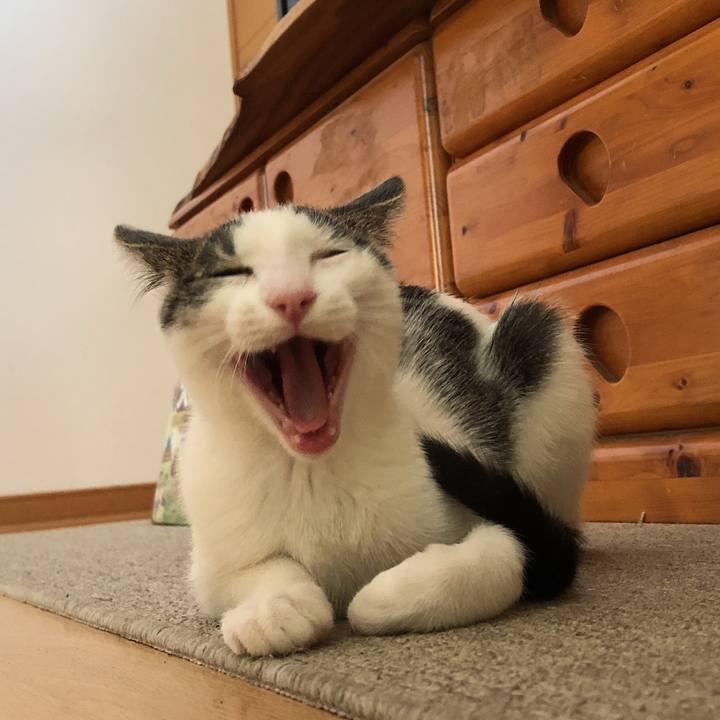 4ca599b5 ef0e 4d0a acfc d9031f0f0f80 1568878502575