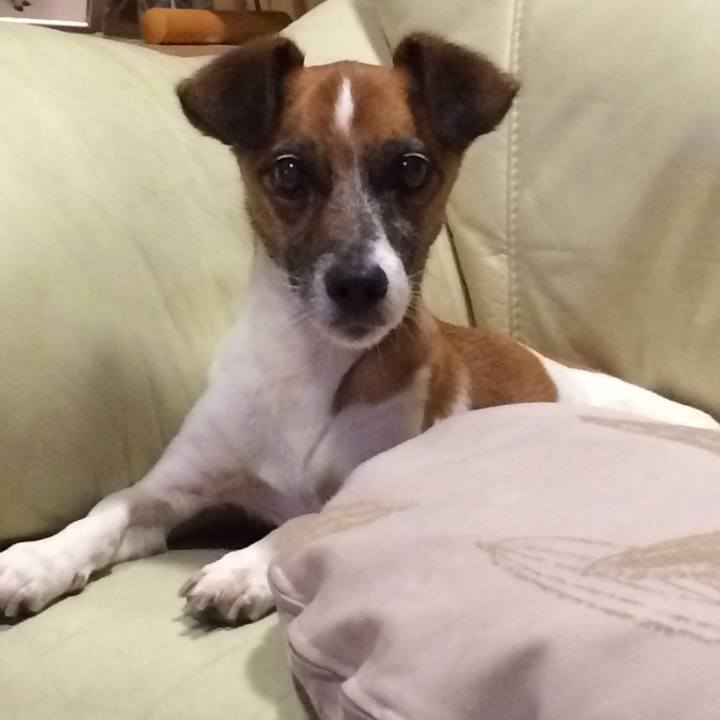 4ca5c199 2680 4d59 8d82 86a9314a298e 1519989833295