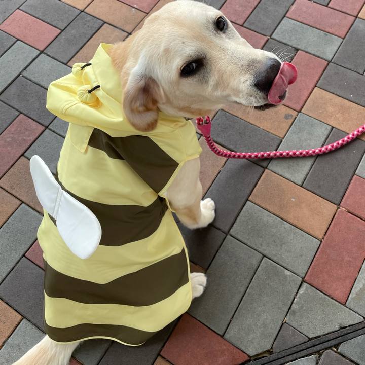 4ca5cf18 0308 4ba9 8e0f bf8e30b77372 1621305227898