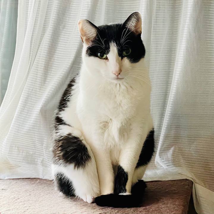 4ca60a8b ee5f 4d27 b288 711ef7d90cdb 1611887616569