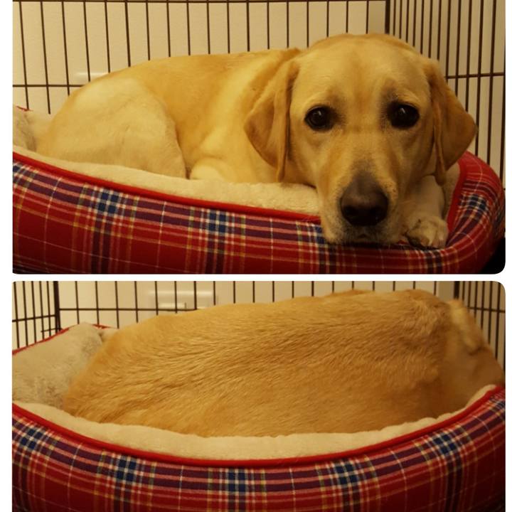 4ca61d25 b94c 42d4 b529 19b19e32e5b9 1516465267941