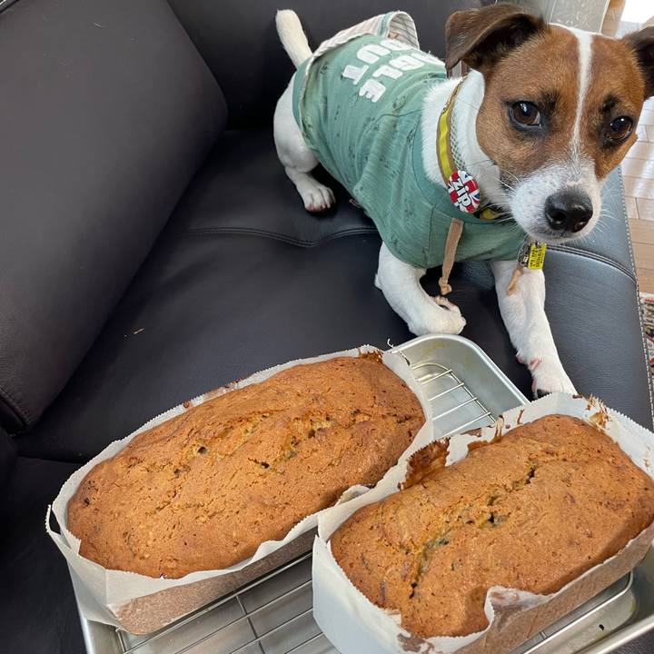 4ca6203a adfa 4b52 8e94 0645d33e25a3 1655796779668