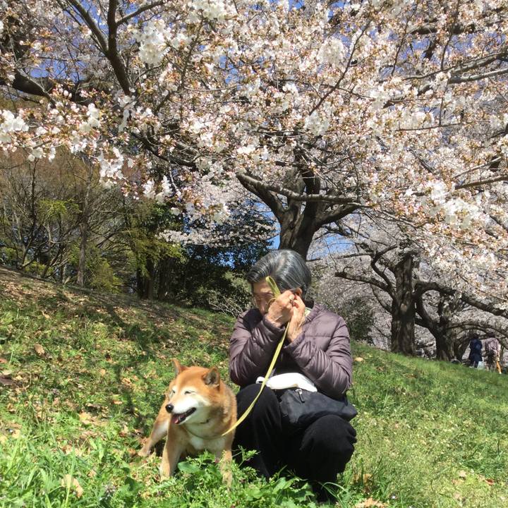 4ca693be acc8 4e65 b1b3 1edf72d32114 1616567442819