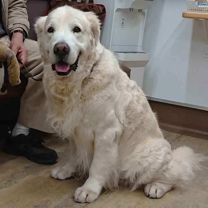 4ca75678 f770 4e76 9611 03fc15ddea44 1575931973734