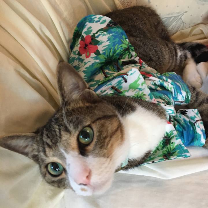 4ca76b2d 5288 4271 bb67 d7a5dc59ba47 1694901013613