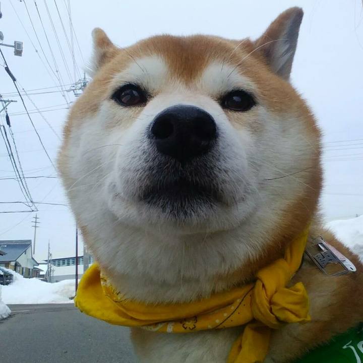 4ca7a531 c856 4d7b a81c 384acf804f99 1518240596264