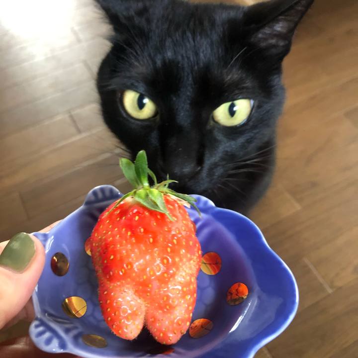 4ca7abf9 d6a4 478b 9319 c7e676a9de87 1649210364818