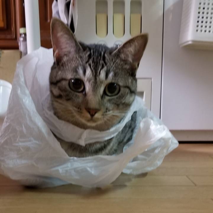 4ca7b885 b408 4754 aefa 0ef7dd9532f4 1692153565701