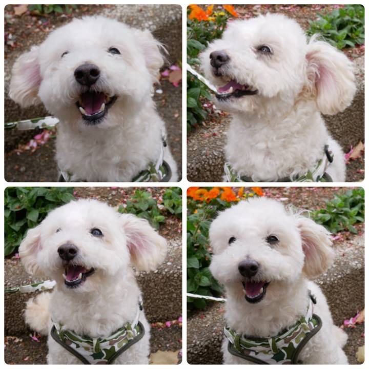 4ca7bf9e 0dc6 4eb2 aead 1b5fcc20ac6b 1523353011422