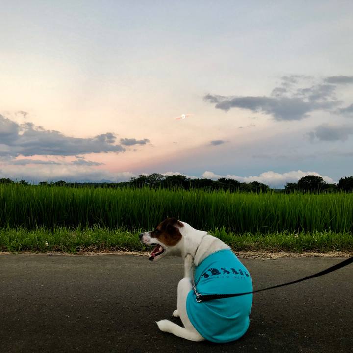 4ca7fdee 2e59 4500 8cb7 8af253d70c24 1565696199041