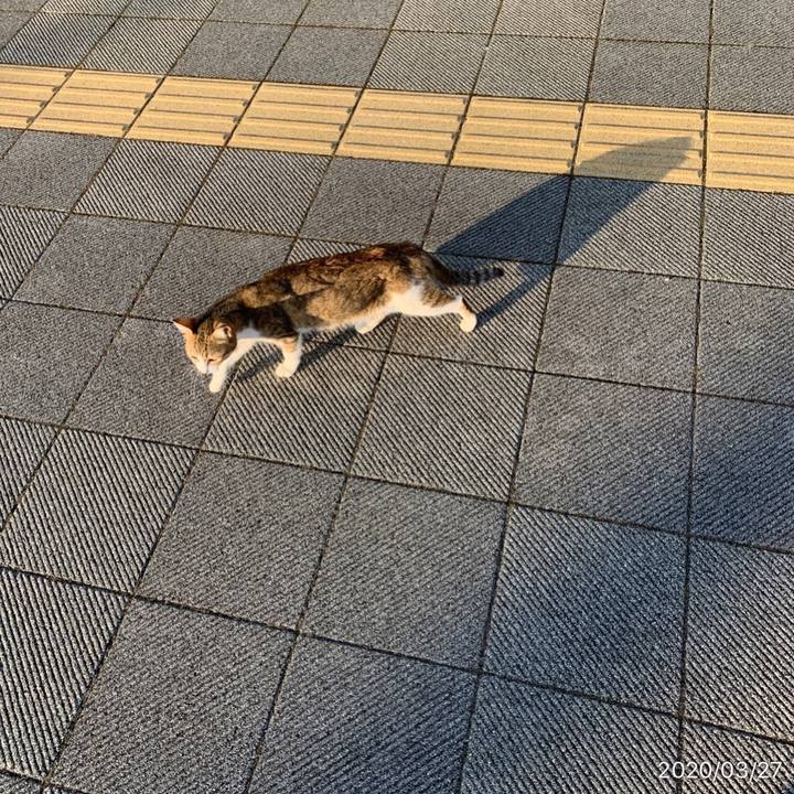 4ca812f8 b8bb 453e 8e34 ac8bda4d4fe0 1585259883452