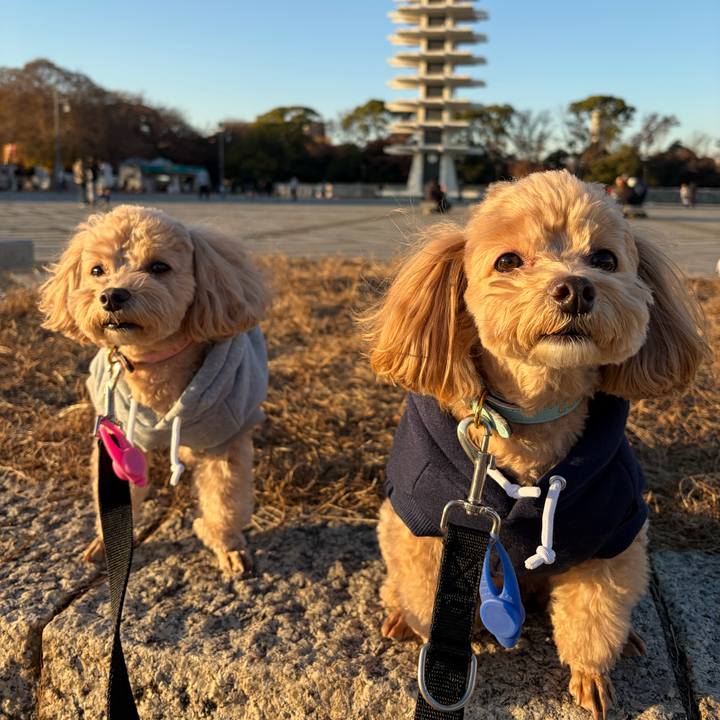 4ca83ead cb23 4fbf 8b70 5c2e519107cd 1765098494626