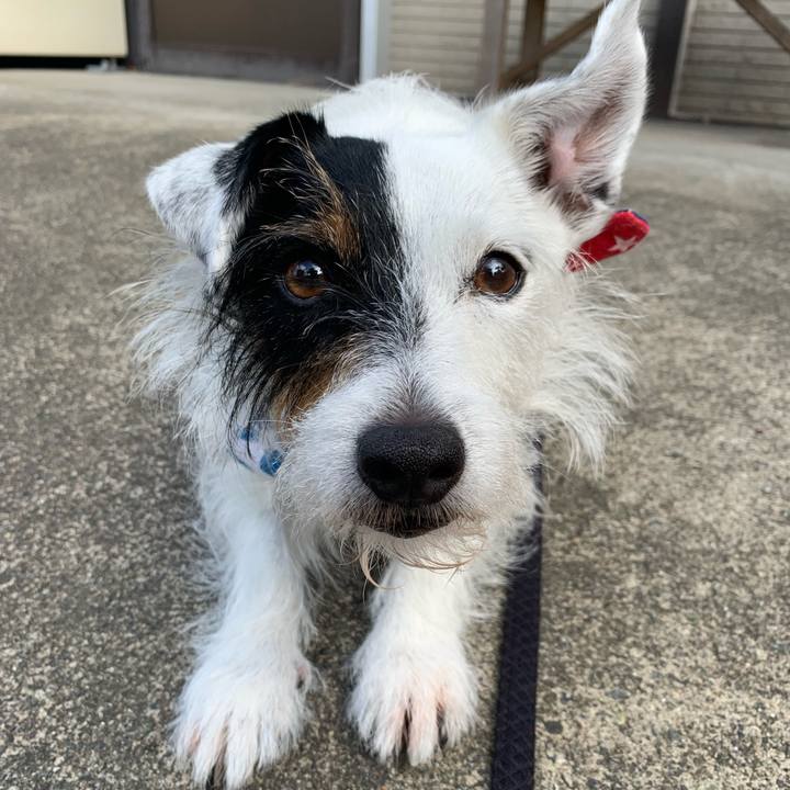 4ca85a8c fc9c 4dd5 910f 3da3b7530cd2 1626481133894