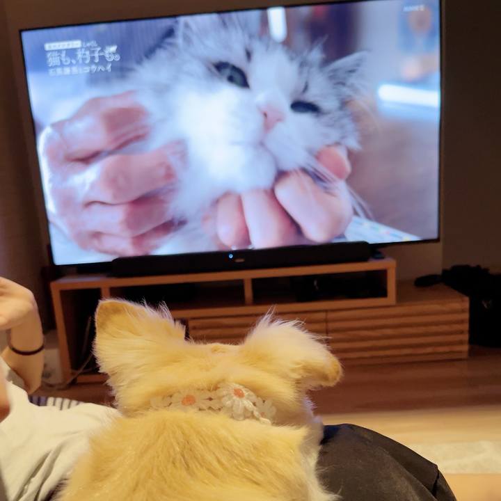 4ca88a0a 0c7f 4274 82ac f57bec029001 1695730083459