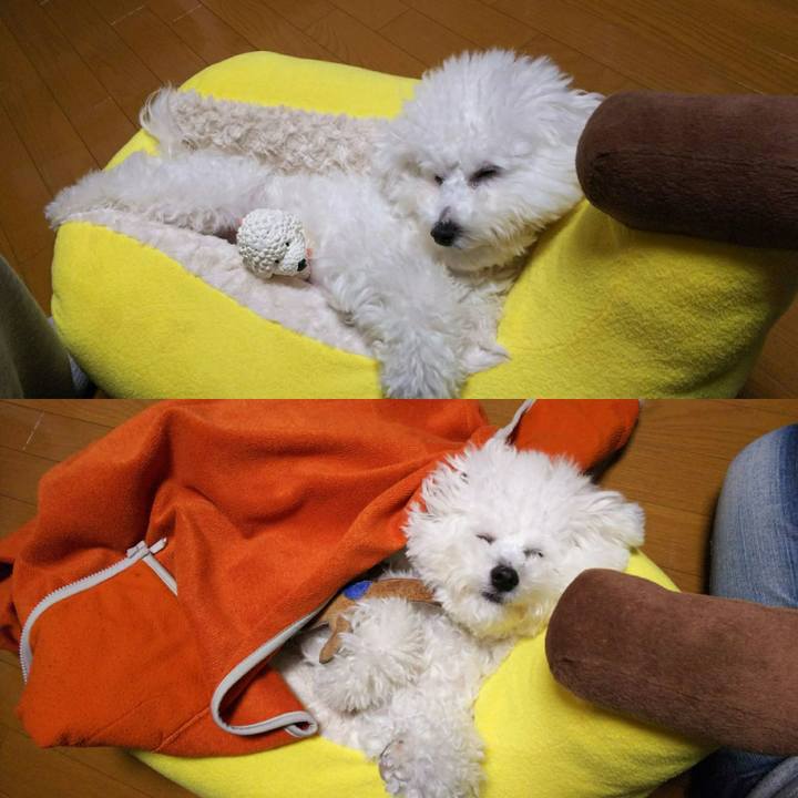 4ca8a0d6 c4cb 4805 8b8a c78fcf10a537 1509274173909