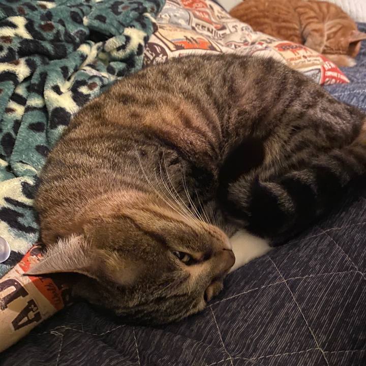 4ca8b52d 6a46 4f49 a062 e7516200f7f3 1586539677238