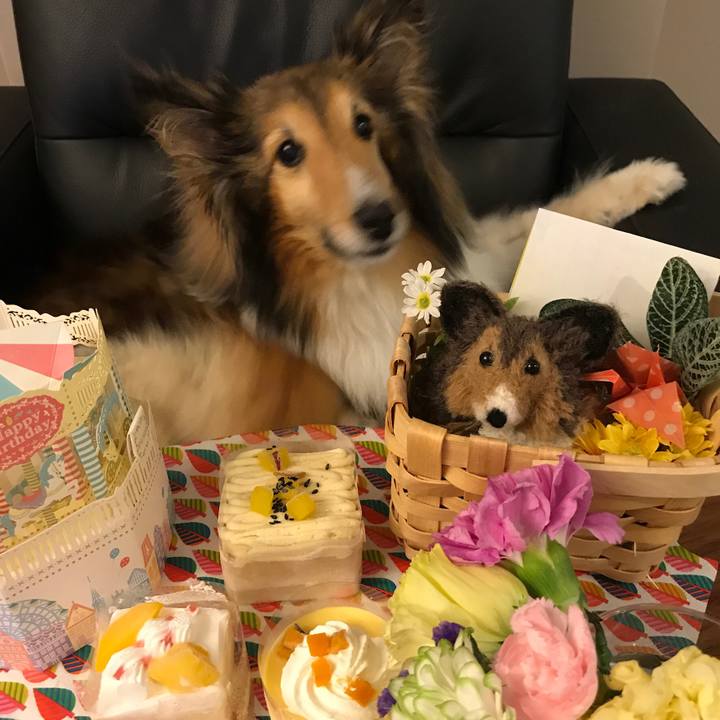 4ca91111 3ef9 41fe bc30 20e86314b8a3 1534054193450