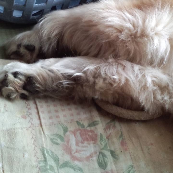 4ca925a5 1f61 4af5 9b93 087636c2dd36 1651222178308