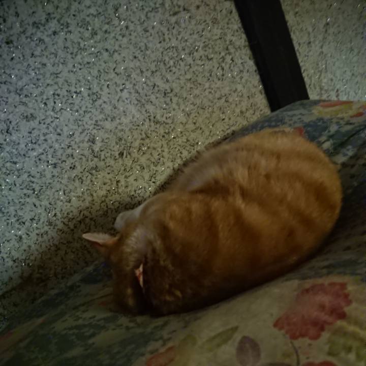 4ca9346c 7e06 4758 a64a 85f57d0271a5 1602288237321