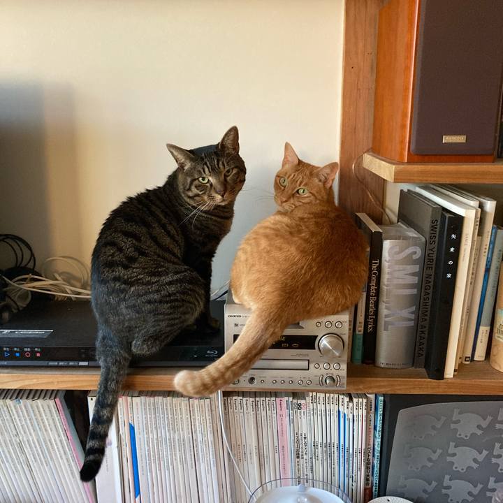 4ca94986 40d6 4140 8215 0e8f8732acf0 1673532108094