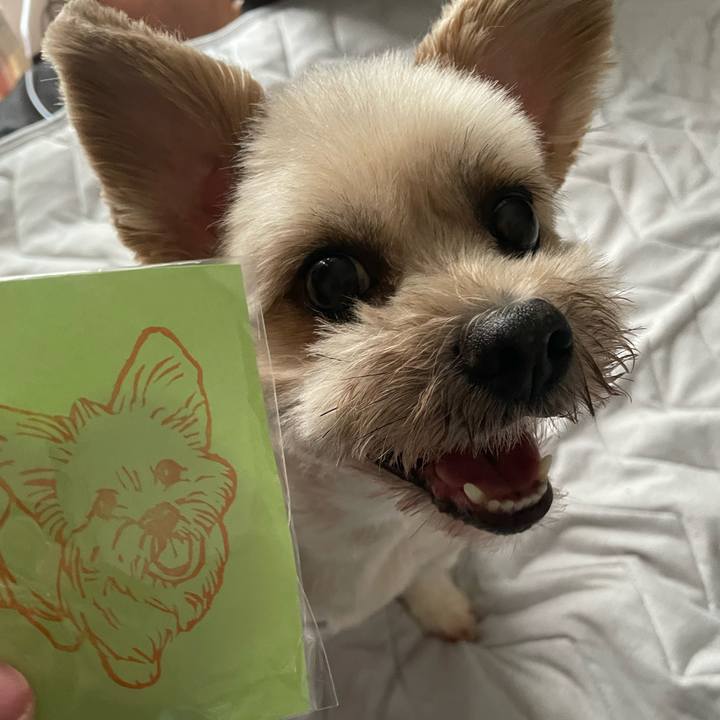 4ca95220 d6f1 4ad2 aa62 0b4217c00218 1657606899951