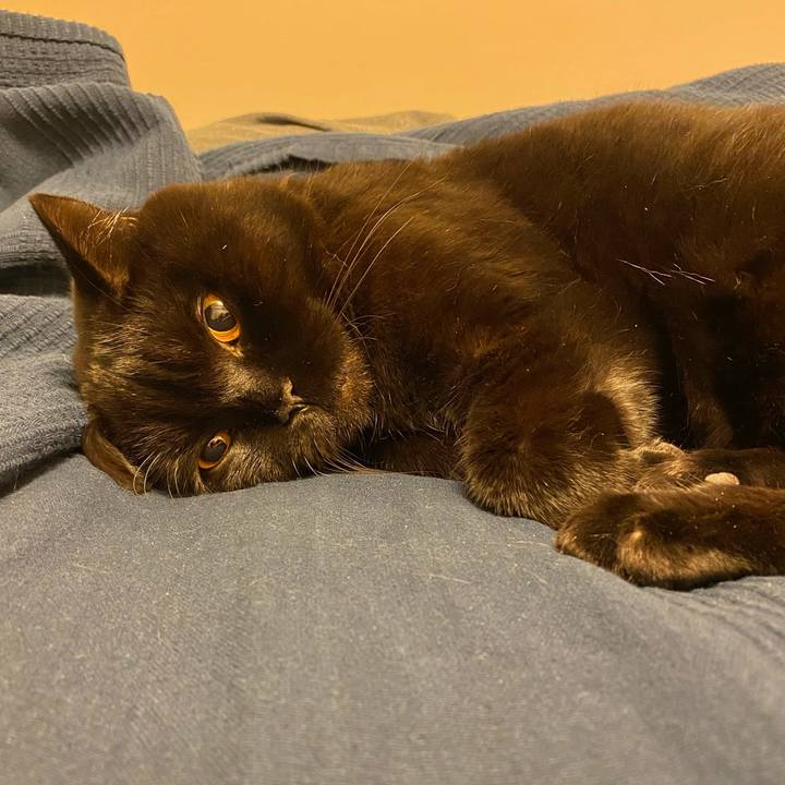 4ca97275 8b55 47c1 ac58 28d2f7075630 1604653792261