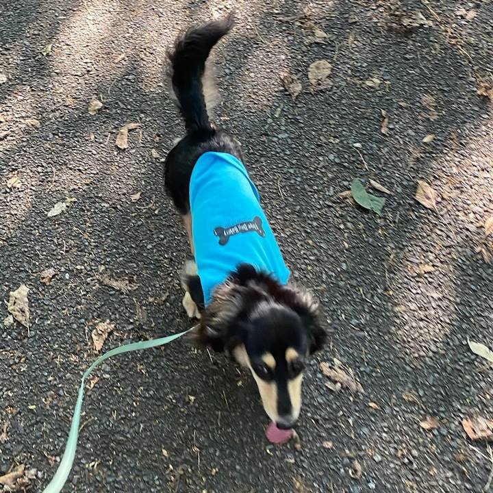 4ca97406 6891 4dd3 800d 5a7ac804fc0d 1689164343618