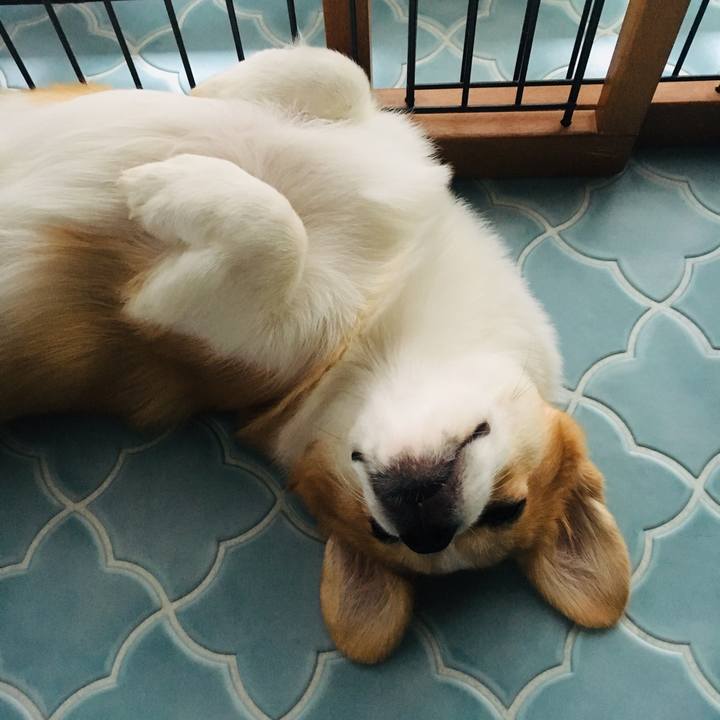 4ca9d49b 8e28 4b19 927a 2909455d6fc0 1563423363946