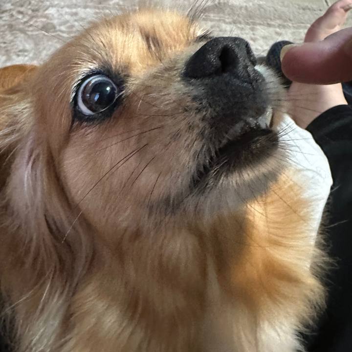 4ca9fd6f 0f43 4662 b376 c42357f907a0 1684792038823