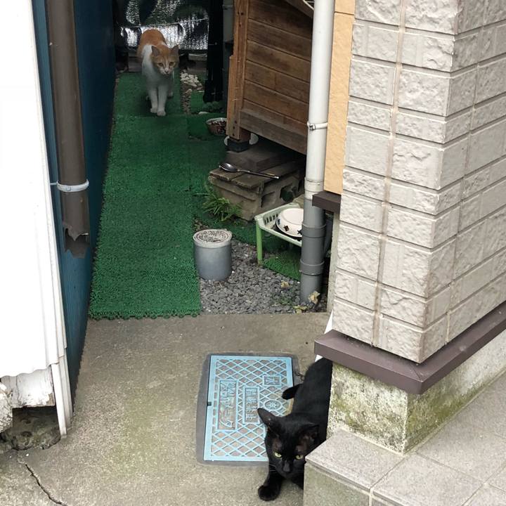 4caa0056 73de 4586 831d d7328481045d 1532895867648