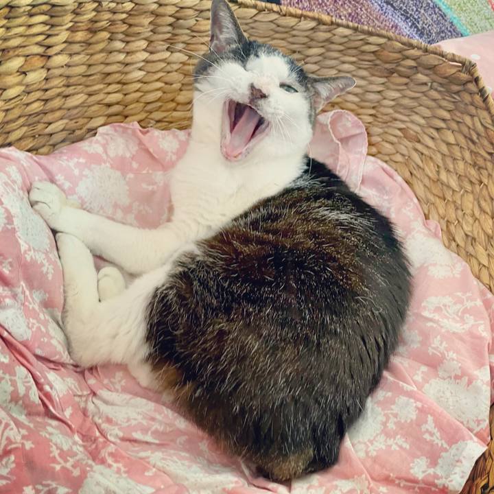 4caa1541 6c65 44ae b82e 623db79c1701 1623115768309