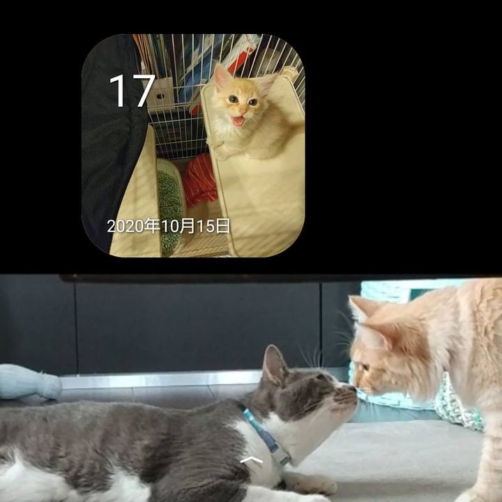 4caa47db e773 4f7d 8bd6 7ba38ef29223 1634481048599