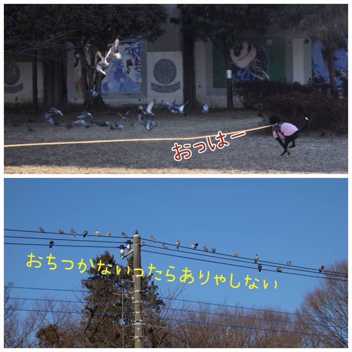 4caa8ba5 061a 4057 b000 79ed8e3588a3 1645752270038