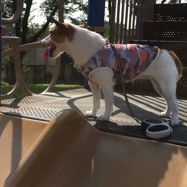 4caab371 f177 417e 9623 17fed98132fc 1566686880528