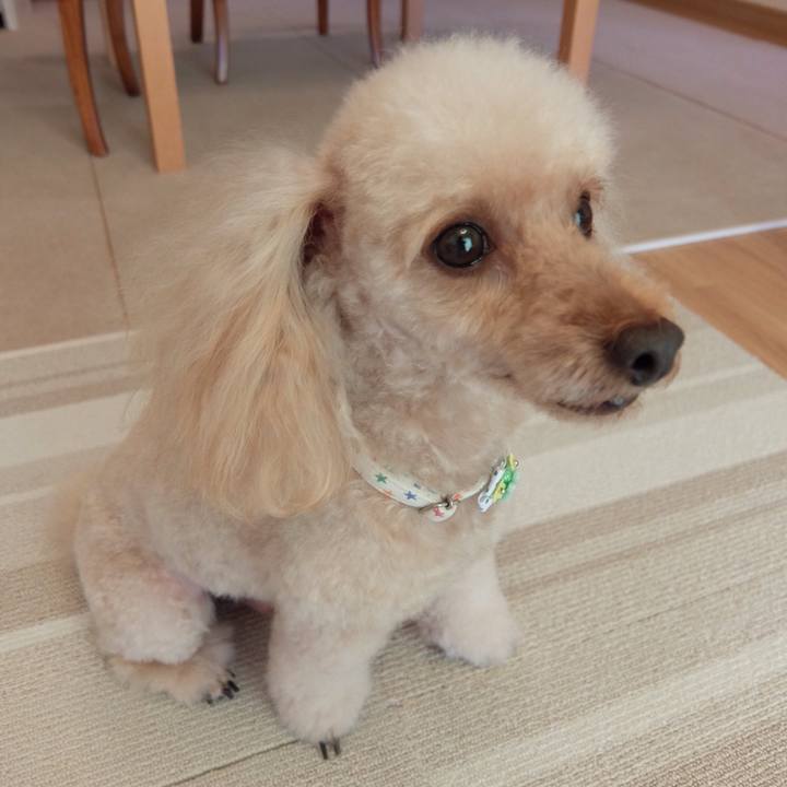 4caac7de 4d98 4b19 80f9 85875bb7e990 1598068072934