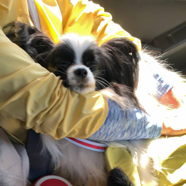 4caad993 111f 40ae a9a0 4e03ee04887f 1557129532746