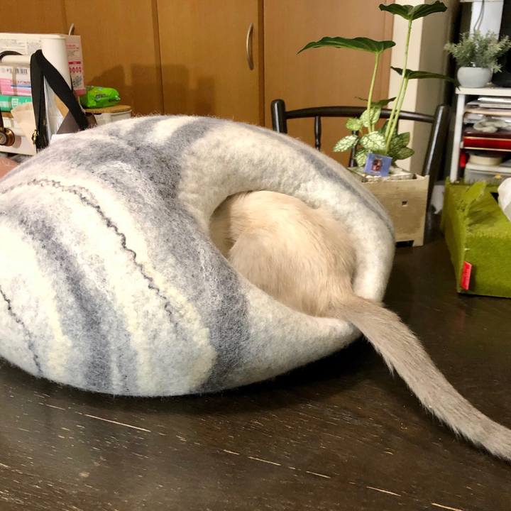 4cab155b 1cfd 47ad ad6e df9a73323856 1572876670743